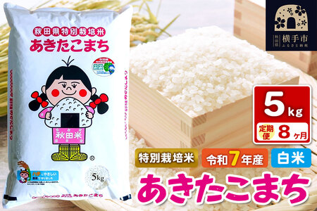 令和7年産【白米】《定期便8ヶ月》特別栽培米 あきたこまち 5kg 秋田県 横手市