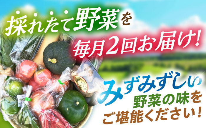 月2回お届け 【24回定期便】諫早産 野菜の詰め合わせ 8～9品目程度 / 季節 旬 野菜 やさい 春野菜 夏野菜 秋野菜 野菜セット 詰め合わせ 野菜定期 野菜定期便 定期便 / 諫早市 / 肥前グ