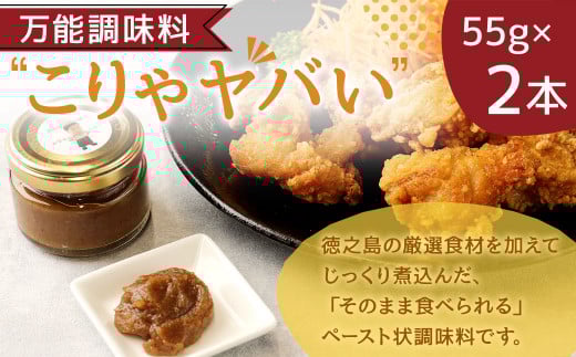 万能調味料 ”こりゃやばい” 2本 セット 55g×2本 ペースト 旨味 調味料 BK-1-N