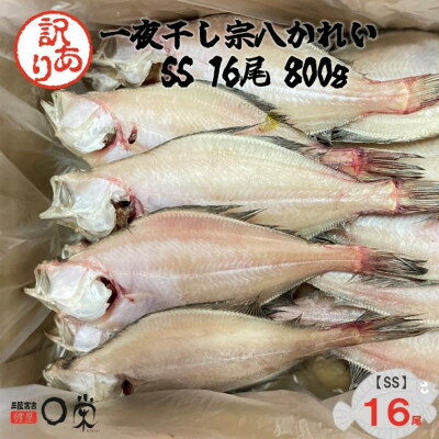 【ふるさと納税】【訳あり】一夜干しかれい 宗八 SSサイズ16尾【配送不可地域：離島】【1724572】