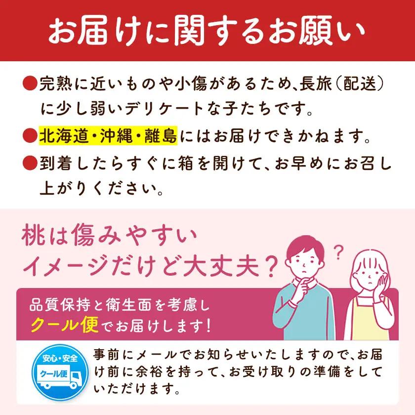 もったいない桃 約2kg【配送不可地域あり】