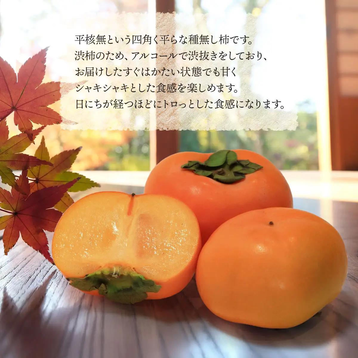 【令和8年産先行予約】　庄内柿　2Lサイズ　5kg（20～24個）　山形県鶴岡市　小林農園　| 柿 カキ 平核無柿 ひらたねなしかき 種無し柿 旬 期間限定 果物 フルーツ 甘い おいしい おすすめ 