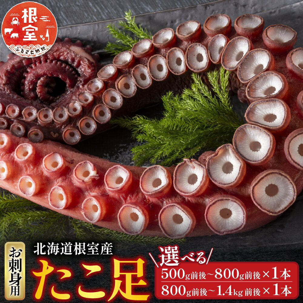 【ふるさと納税】 [北海道根室産] たこ足 500g 前後 ~ 1.4kg 前後 × 1 本 タコ 蛸 お取り寄せ グルメ 海鮮 蛸足 タコあし 蛸あし たこあし 刺身 刺身用 北海道 根室市 ふるさと納税