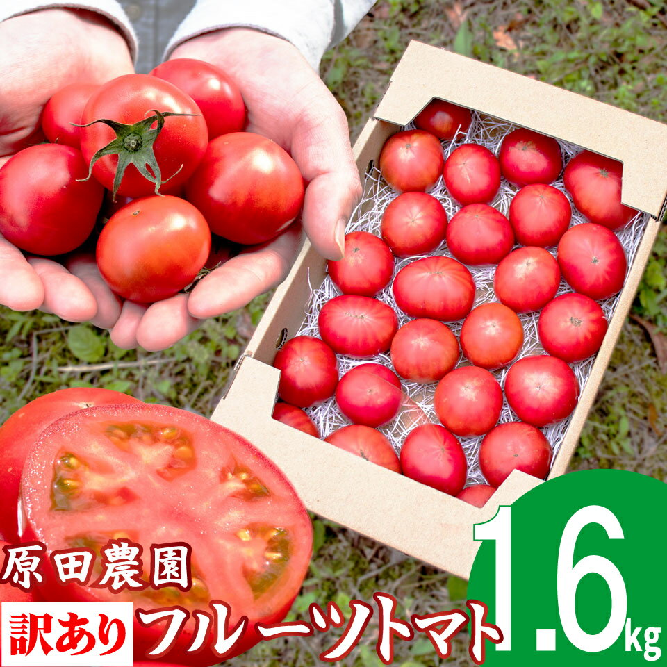 【ふるさと納税】【12月下旬～5月頃発送】＜訳あり フルーツトマト 原田農園 1.6kg 箱入＞桃太郎 当期分は毎年4月上旬頃まで申込受付【常温】送料無料 家庭用 ワケあり 変形 キズあり 高知県　＜2026年12月下旬頃より順次発送＞