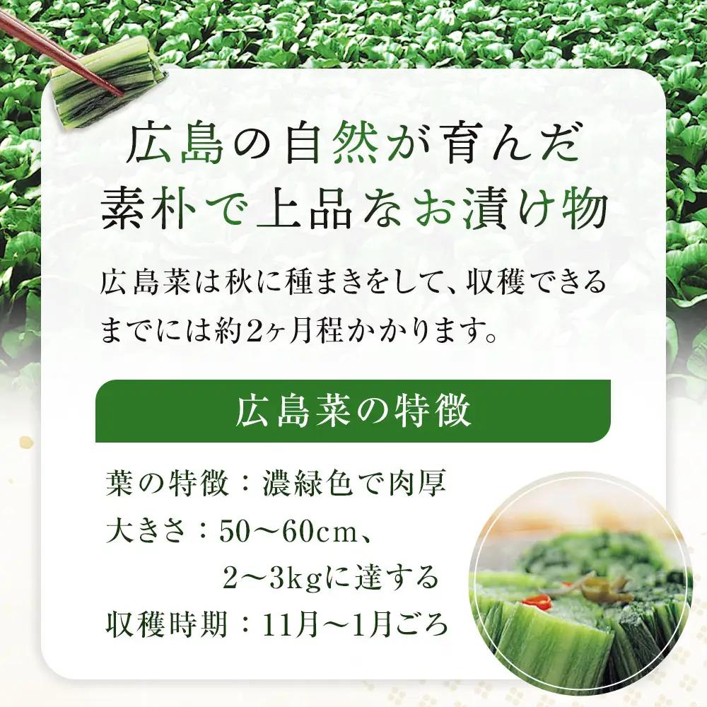 【先行予約】広島菜漬「安藝菜」 4.0kg（2026年度11月以降順次配送）