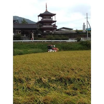 ふるさと納税 石岡市 【令和6年産】獅子米いのちの壱　玄米10kg |  | 02