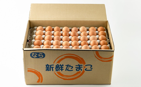 白鳳卵：業務用加熱たまご 5kg  |  卵 たまご タマゴ 玉子 生卵 奈良県 五條市 