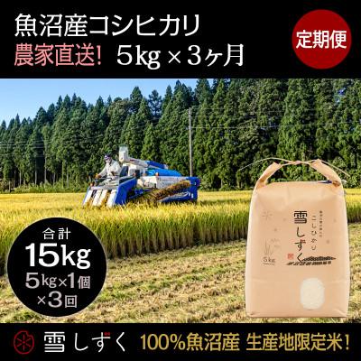 ふるさと納税 十日町市 【毎月定期便】中里地域限定!魚沼産コシヒカリ 5kg(5kg×1袋)×3回 合計15kg全3回