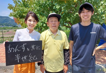スカッと爽やか 杏スパークリング (炭酸・ノンアルコール6本セット)