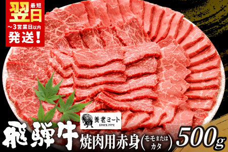 【12/21入金分まで年内発送】 贅沢！ 飛騨牛 モモまたはカタ 焼肉用 500g 2～3人前 牛肉 和牛 肉 焼肉 BBQ 霜降り カルビ 赤身 モモ カタ 東白川村 岐阜 養老ミート