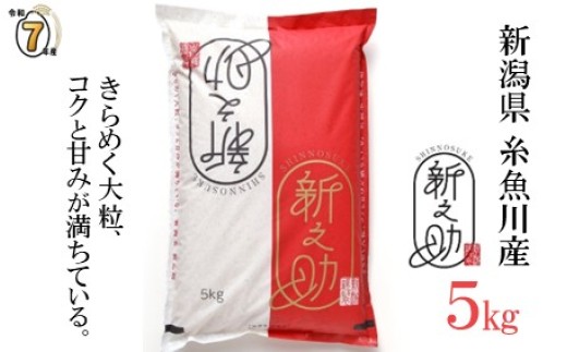 
                  【選べる発送時期】令和7年産 『新之助』5kg 新潟県糸魚川産 農家直送 2025年産 あぐ里能生 しんのすけ【新潟県 糸魚川市 米 お米 こめ コメ ご飯 ライス ふるさと納税米 新潟県の新しいブランド米 産地直送 おすすめ ギフト 5キロ 精米 白米 人気 食品 選べる配送月 】
                