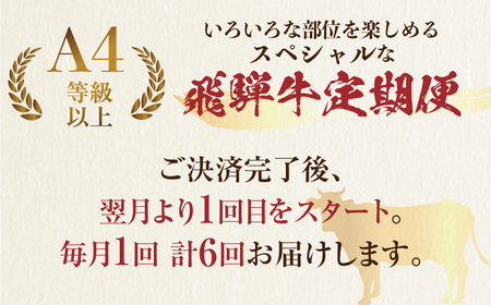 《定期便6回》飛騨牛 特選 プレミアム定期便 [S489]