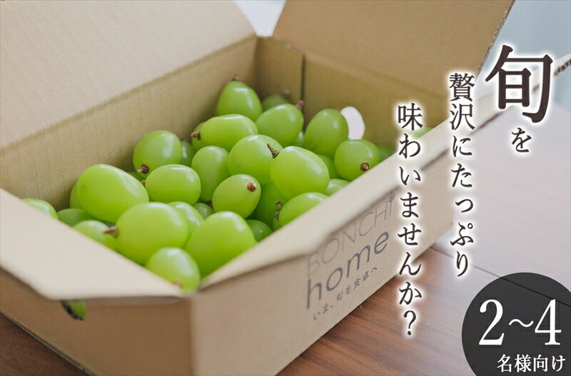 【ふるさと納税】 ＜先行予約2025年＞南アルプス市産 たっぷり粒詰めシャインマスカット 約1kg ふるさと納税 シャインマスカット ぶどう 葡萄 果物 フルーツ おすすめ 山梨県 南アルプス市 送料無料 ALPAL009