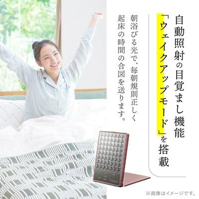 ふるさと納税 摂津市 LED美顔器 Exideal (エクスイディアル) シャンパンピンク |  | 03