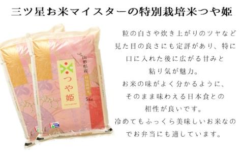【令和7年産・精米】竹原田ファームのつや姫10kgとおにぎり塩のセット※10月中旬頃から順次配送