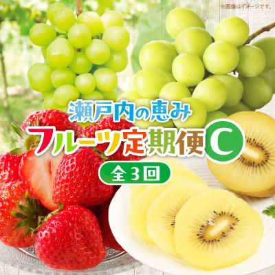 ふるさと納税 高松市 【発送月固定定期便】高松市自慢のフルーツ【C】全3回