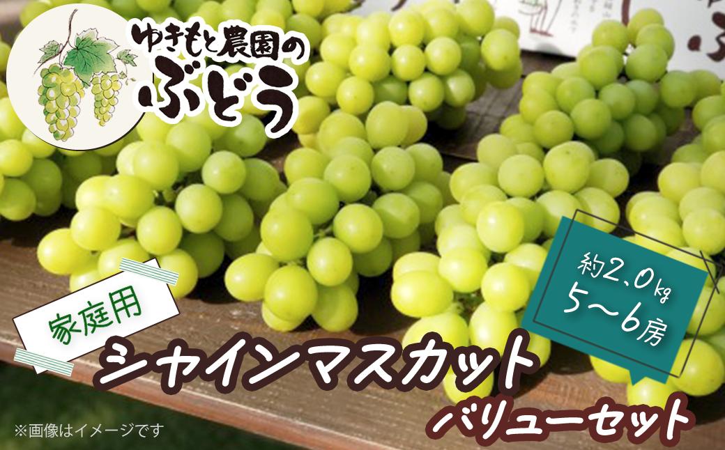 
            ゆきもと農園 ＜家庭用＞ シャインマスカット バリューセット 約2.0㎏ 5～6房　2025年8月中旬～9月発送  【オンライン決済限定】
          