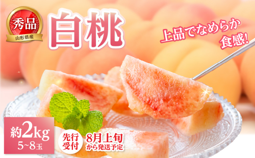 《先行受付》★白桃（品種おまかせ）★約2kg(5～8玉)秀品 【2025年8月上旬頃～発送予定】 063-001