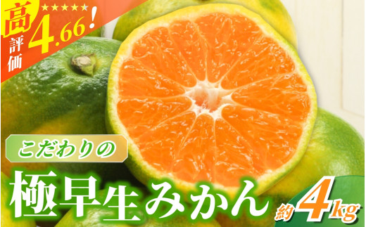 【2025年秋頃発送予約分】【農家直送】こだわりの極早生みかん 約4kg【数量限定】 有機質肥料100% サイズ混合 ※2025年9月下旬より順次発送予定（お届け日指定不可） / 早生みかん みかん ミカン 有田みかん 温州みかん 柑橘 有田 和歌山 産地直送  くだもの 果物 フルーツ 柑橘類 和歌山 すさみ町【nuk171】