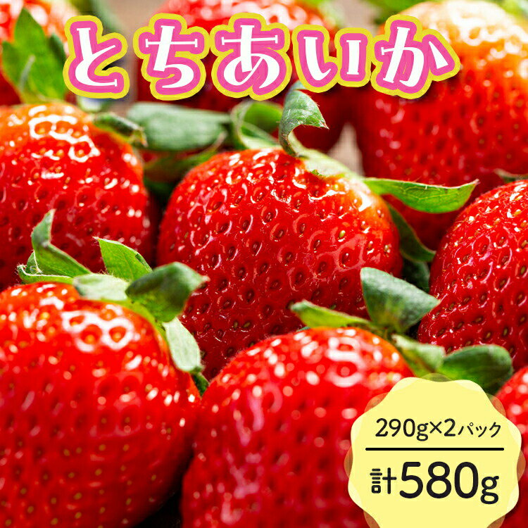 【ふるさと納税】【先行予約】とちあいか 290g×2パック 計580g｜いちご イチゴ 苺 贈答用 ギフト 風袋入り 平詰め ハンモックトレー 果物 くだもの フルーツ 数量限定 しおやブランド いちごソムリエ ※2026年1月中旬～3月下旬頃に順次発送予定 ※離島への配送不可