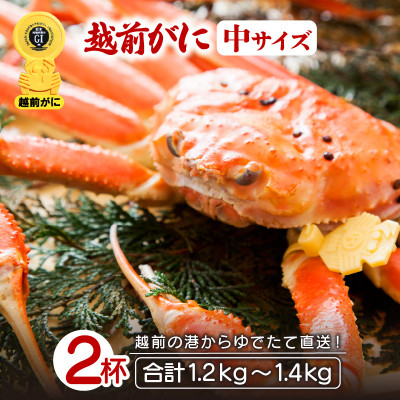 地元鮮魚店厳選 ≪浜茹で≫ 越前がに 中サイズ 2杯【2月発送分】【配送不可地域：離島】【1448034】