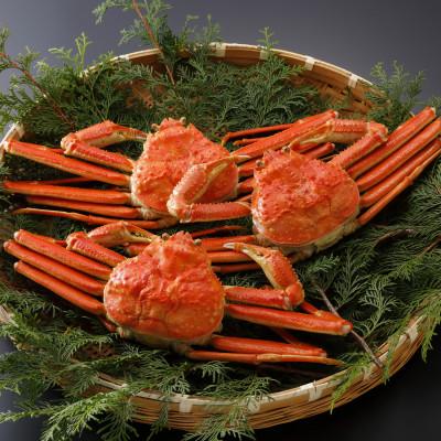 ふるさと納税 智頭町 【先行予約】鳥取県産 訳あり 茹 松葉がに 500g×3杯(中村商店)2026年1月末より順次発送