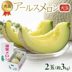 SA2950　芳醇な香りと美しい網目 「秀品 アールスメロン」　約3kg(青肉 大玉/2玉入)