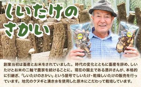 しいたけ 阿蘇 原木乾燥しいたけ 大玉 200g《30日以内に出荷予定(土日祝除く)》原木 干し 乾燥 しいたけ 原木栽培 産山村 しいたけのさかい