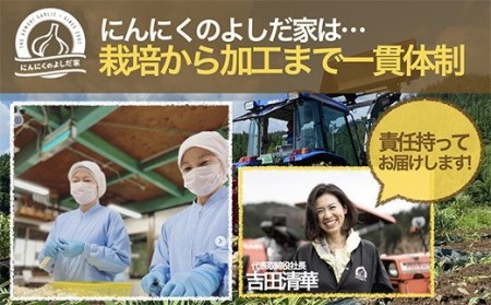 青森県産「にんにく・福地ホワイト種」　中サイズ・800g【2023年産】