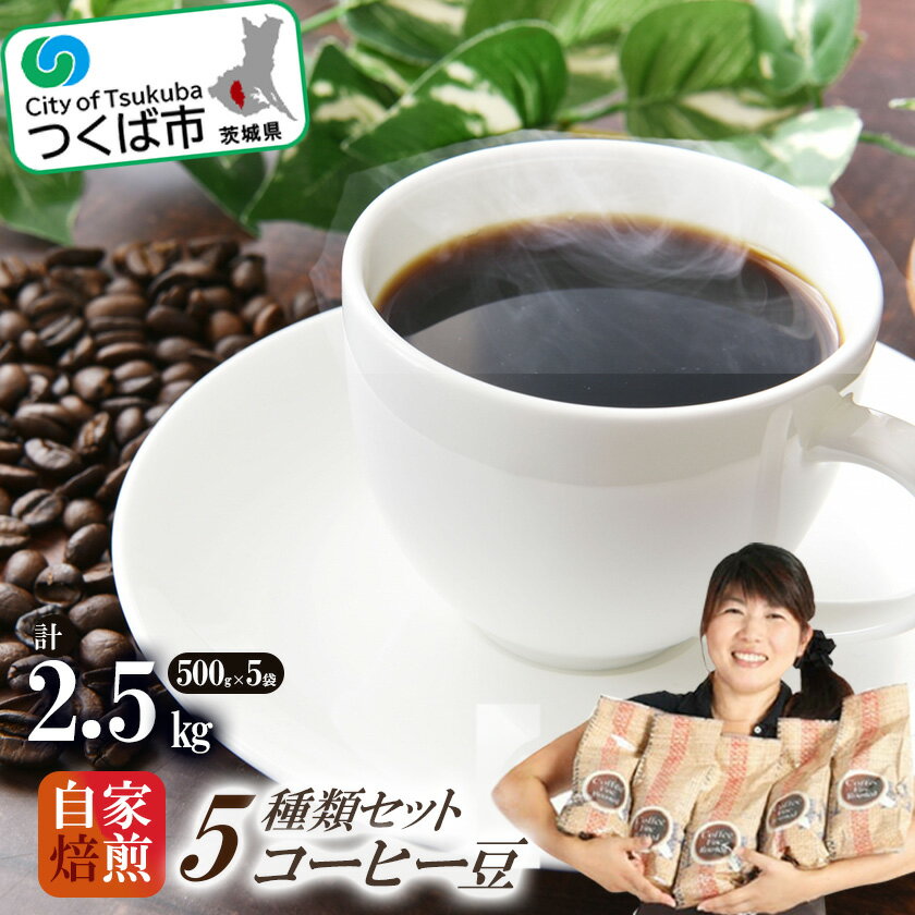【ふるさと納税】＜自家焙煎珈琲豆＞コーヒー豆5種類セット 500g×5袋　計2500g | 茨城県 つくば市 coffee コーヒー 珈琲 飲み比べ コーヒーセット コーヒー豆 ブレンド ギフト セット ギフトセット 贈り物 プレゼント 祝い お祝い