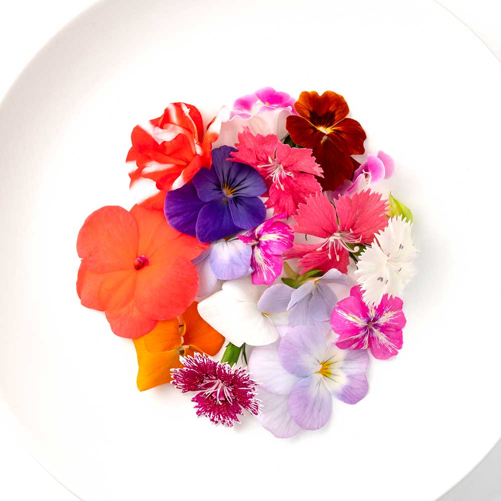 【ふるさと納税】エディブルフラワー 生花MIX（20輪入り）5パックセット【食べられるお花 栽培期間中 農薬不使用】　食用花 農薬不使用 ギフト サプライズ