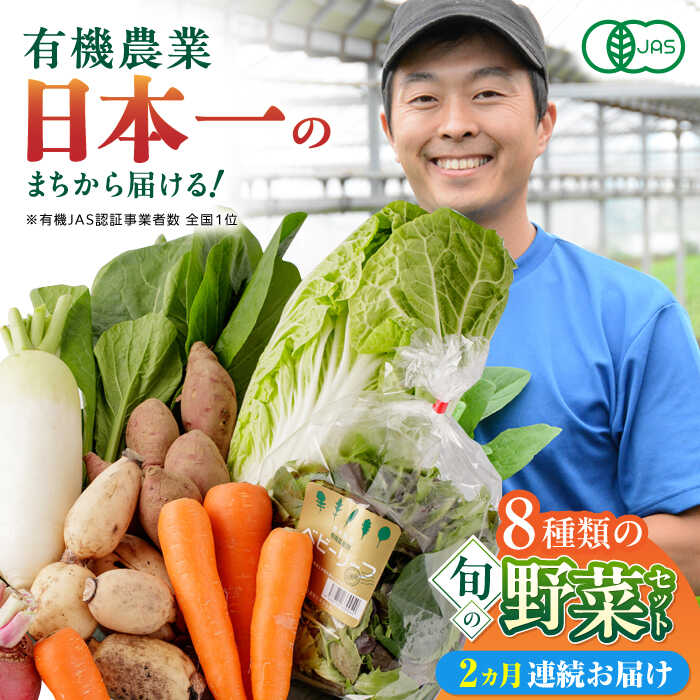 【ふるさと納税】【全2回定期便】オーガニック 野菜 セット 8種 熊本産 農薬不使用 旬の野菜 山都町【株式会社 肥後やまと】[YAF027]