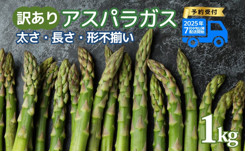 
            先行予約 訳あり アスパラガス 1kg 令和7年産 アスパラ 甘い 柔らかい 特産品 野菜 春野菜 夏野菜 JA北新潟 新潟県 新発田産 新発田市 JA002
          