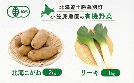 先行予約 有機野菜 2種セット 3kg 北海こがね リーキ