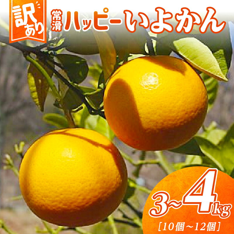 【ふるさと納税】【 訳あり 】＼数量限定／常滑ハッピーいよかん【1箱 3～4kg】10～12個 いよかん 果物 みかん 柑橘 フルーツ 季節のフルーツ お取り寄せ【2026年1月中旬～順次発送】送料無料