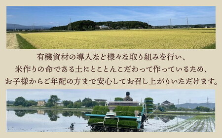 令和7年産 コシヒカリ 無洗米 5kg| お米 白米 米 こめ コメ ご飯 農家直送 ふるさと納税米 国産 常温 栃木県 塩谷町 ※2026年2月中旬～9月中旬頃に順次発送予定