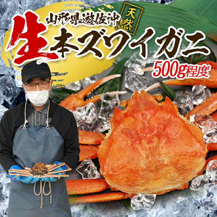 【ふるさと納税】生・本ズワイガニ 1匹 500g程度 遊佐沖 10月中旬～12月下旬頃お届け 冷蔵便 ※着日指定・離島（沖縄県を含む）発送不可 1人前 東北 山形県 庄内地方 日本海 カニ 蟹 かに 海産物 シーフード 海鮮 新鮮 鮮魚 まるごと 生食 刺身 ボイル 焼き 期間限定