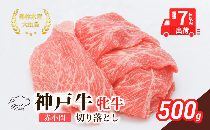 神戸ビーフ 神戸牛 牝 切り落とし 赤小間 500g 川岸畜産 すき焼き 牛丼  冷凍 肉 牛肉