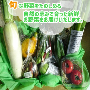 定期便 全 6回 6ヶ月 年末年始限定 半年 定期便 季節 旬の 野菜 7 ～ 10 品 詰め合わせ セット 小松菜 大根 だいこん トマト パプリカ ピーマン にんじん 人参 かぼちゃ きゅうり し