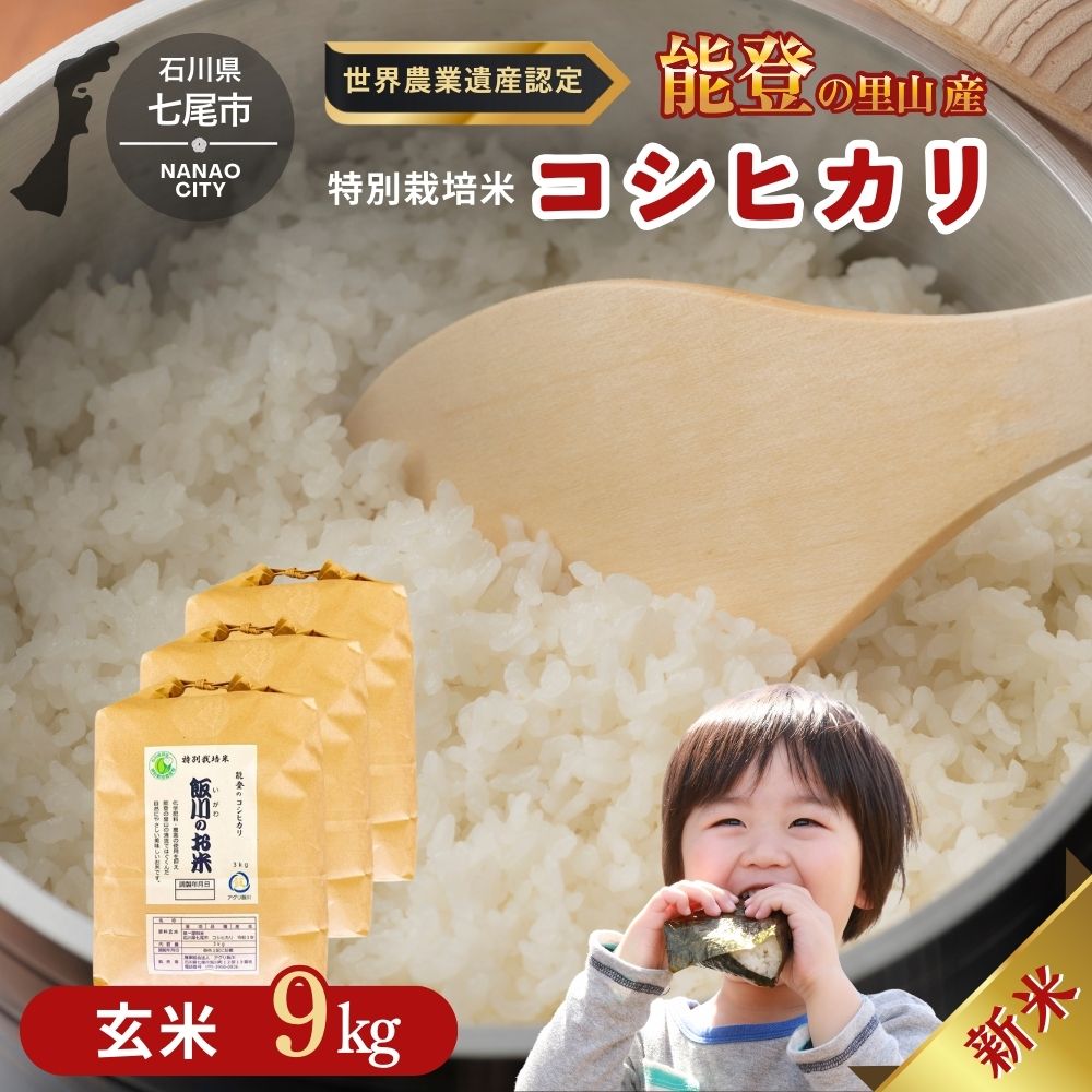 米 玄米 /能登のコシヒカリ　飯川のお米 9kg（玄米3kg×3袋）特別栽培米 ※2024年10月中旬～2025年3月下旬頃に順次発送予定 石川県 七尾市