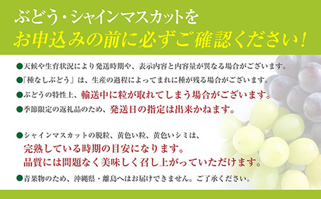 【数量限定】【2026年発送分 先行予約】【２回食べ比べ定期便・別送】シャインマスカット（２房）+サニードルチェ（２房）食べ比べ定期便（２回発送）　シャイン シャインマスカット フルーツ 果物 くだも