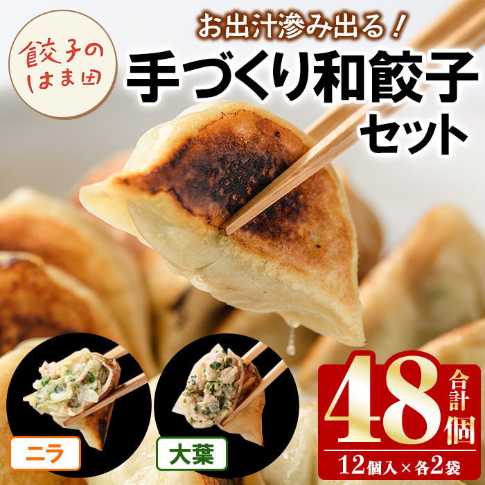 手づくり和餃子セット(ニラ餃子12個入×2袋+大葉餃子12個入×2袋・合計48個) 餃子 生餃子 ギョウザ ぎょうざ ギョーザ セット 詰め合わせ おかず お惣菜 冷凍 和風 水餃子 にら ニラ 大葉 手作り 食べ比べ 【餃子のはま田】akn096-03