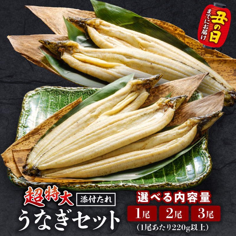 【ふるさと納税】【選べる内容量・発送月】うなぎ白焼(超特大サイズ) セット うなぎの白焼き 超特大サイズ たれ 惣菜 贈答 贈り物 ギフト プレゼント ご褒美 手土産 お祝い 内祝い 土用丑の日 丑の日 冷凍 グルメ お取り寄せ お取り寄せグルメ おすすめ 冬うなぎ 宮崎市