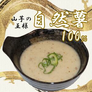 とろろ 冷凍 125g × 4個 自然薯 100％ 小分け セット とろろ汁 長芋 山芋 静岡県 藤枝市