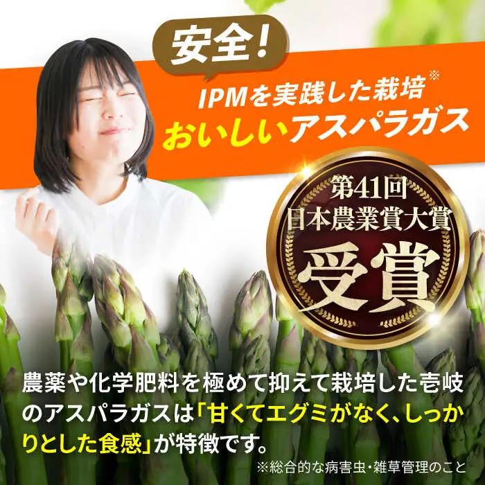 アスパラガス 1kg アスパラ 野菜 JBO004