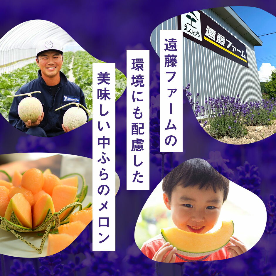 【ふるさと納税】【2025年発送】北海道赤肉メロン大玉2玉セット（糖度15°以上3.2kg以上）