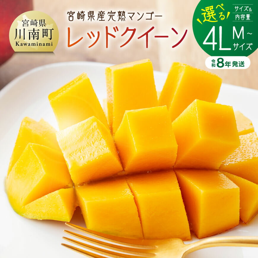 【ふるさと納税】※内容量が選べる※【令和8年発送】宮崎県産完熟マンゴー　「レッドクイーン」Lサイズ～4Lサイズ - 先行予約 果物 フルーツ マンゴー 宮崎県産 完熟マンゴー みやざきマンゴー 数量限定 期間限定