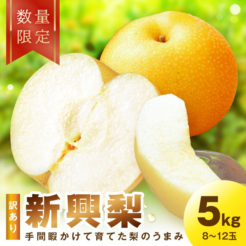 【ふるさと納税】【先行予約／数量限定100】訳あり 新興梨　5kg（2026年10月中旬～発送）