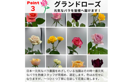 バラの花束 カジュアルブーケ 40本 バラ 薔薇 ローズ 母の日 結婚式 卒業式 花束 観賞用 ギフト プレゼント 贈り物 贈答用 自分用 誕生日 植物 花 フラワー 癒し フラワーバレンタイン はな