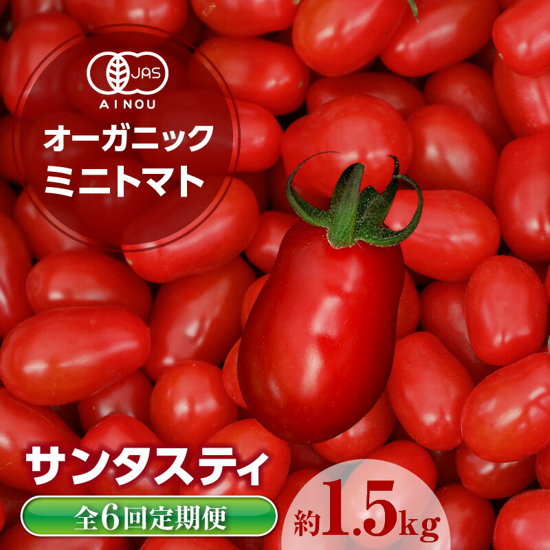 【ふるさと納税】【全6回 定期便】【発送時期：2025年12月～2026年5月】【数量限定】オーガニックミニトマト サンタスティ【約1.5kg】 高糖度 有機ミニトマト 面白い形 珍しい ミニトマト トマト プチトマト JAS 野菜ヘタなし 有機野菜 特産品 愛知県 送料無料
